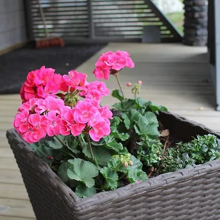 Haarusmaa Kauhava * Хярмя