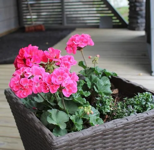 Haarusmaa Kauhava * Harma